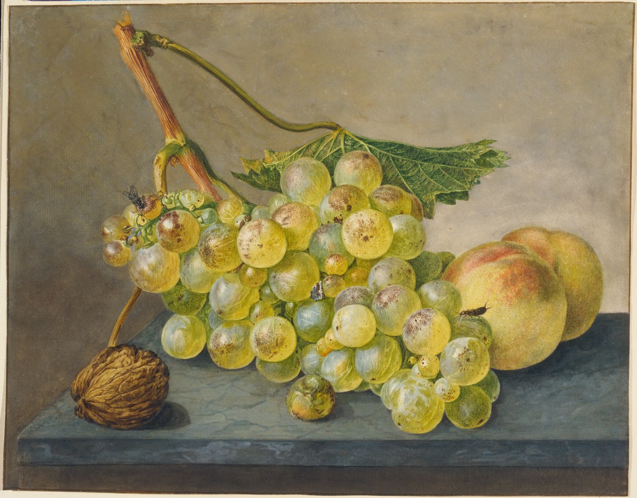 Nature morte avec une grappe de raisin, une noix et des pêches - Wybrand Hendriks