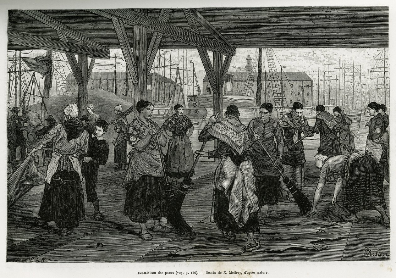 Désalage des peaux, par des femmes raclant les restes des bêtes étendues sous les structures des halles du port d