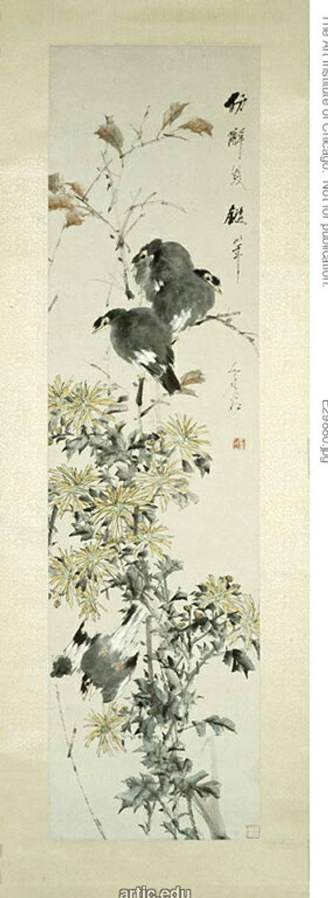 Myna huppé Oiseaux et chrysanthèmes - Xugu
