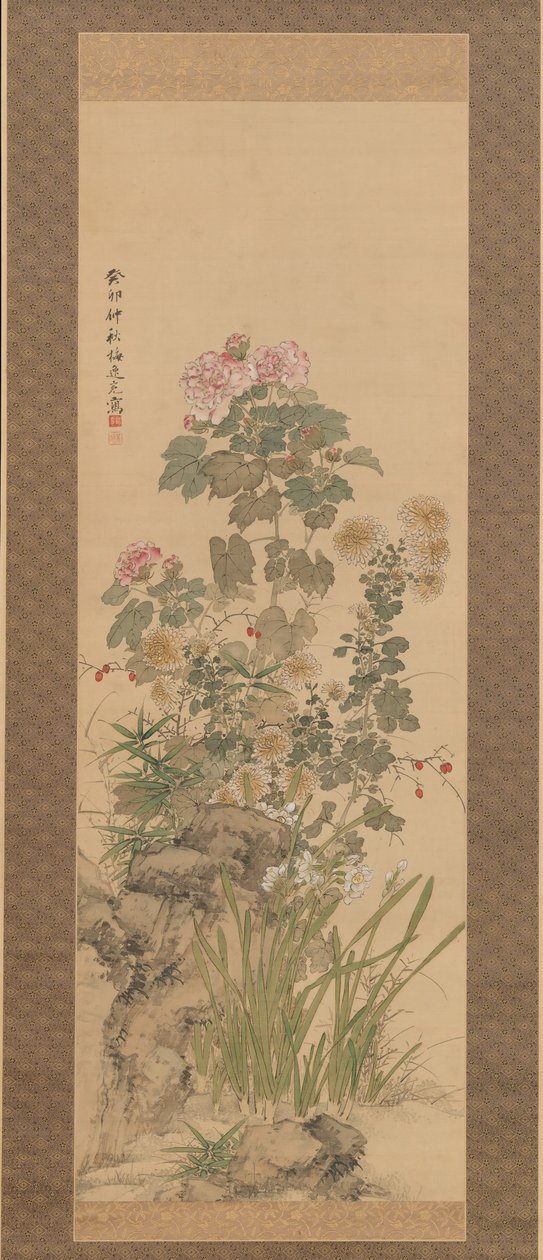 Fleurs d