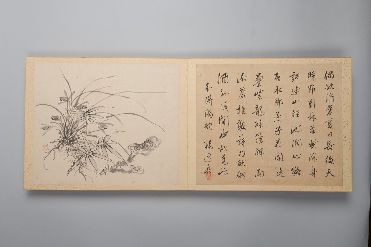 Élégance raffinée dans les quatre saisons Shiji seiga, Album de peintures de fleurs - Yamamoto Baiitsu