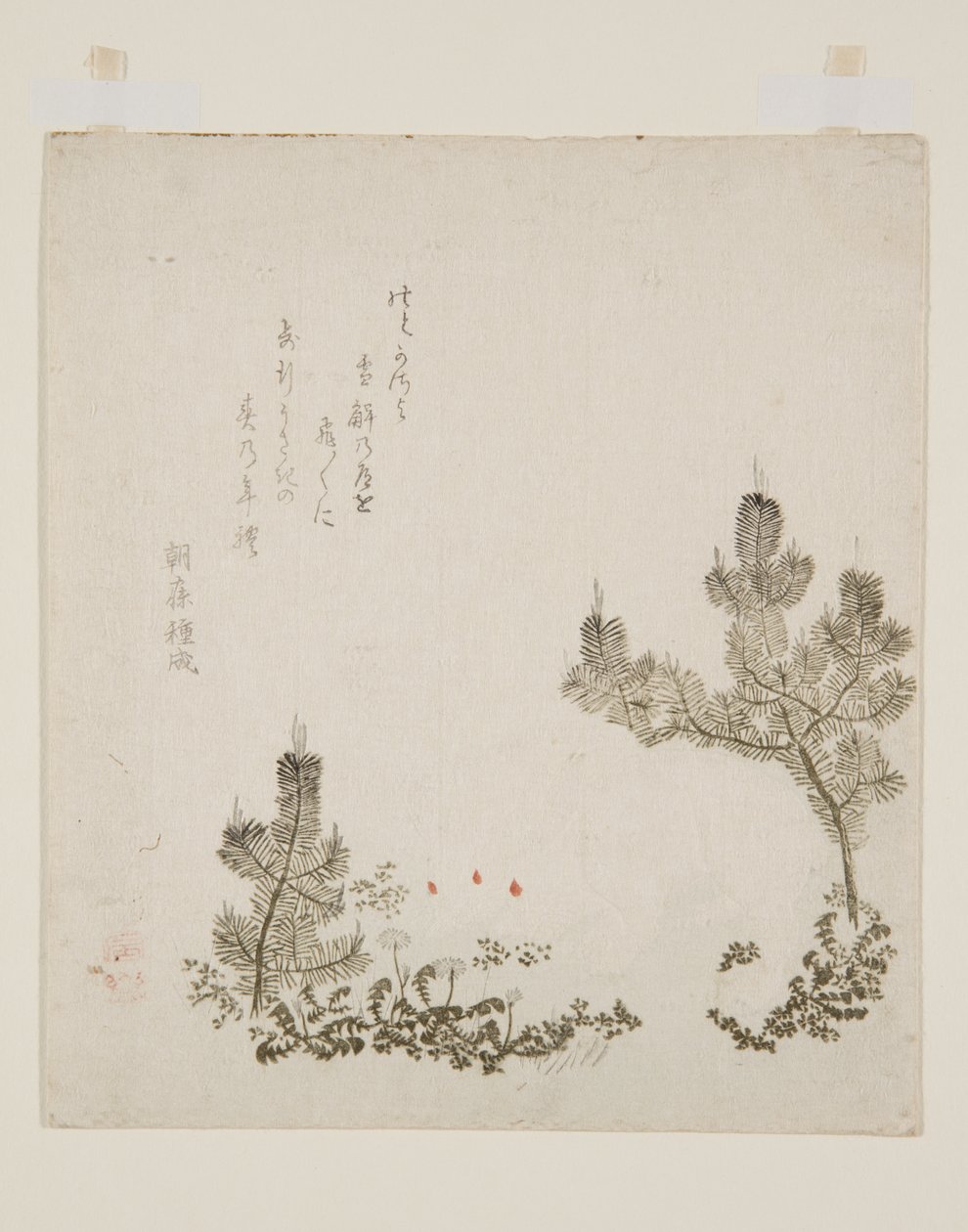 (impression sur bois en couleur) - Yashima Gakutei