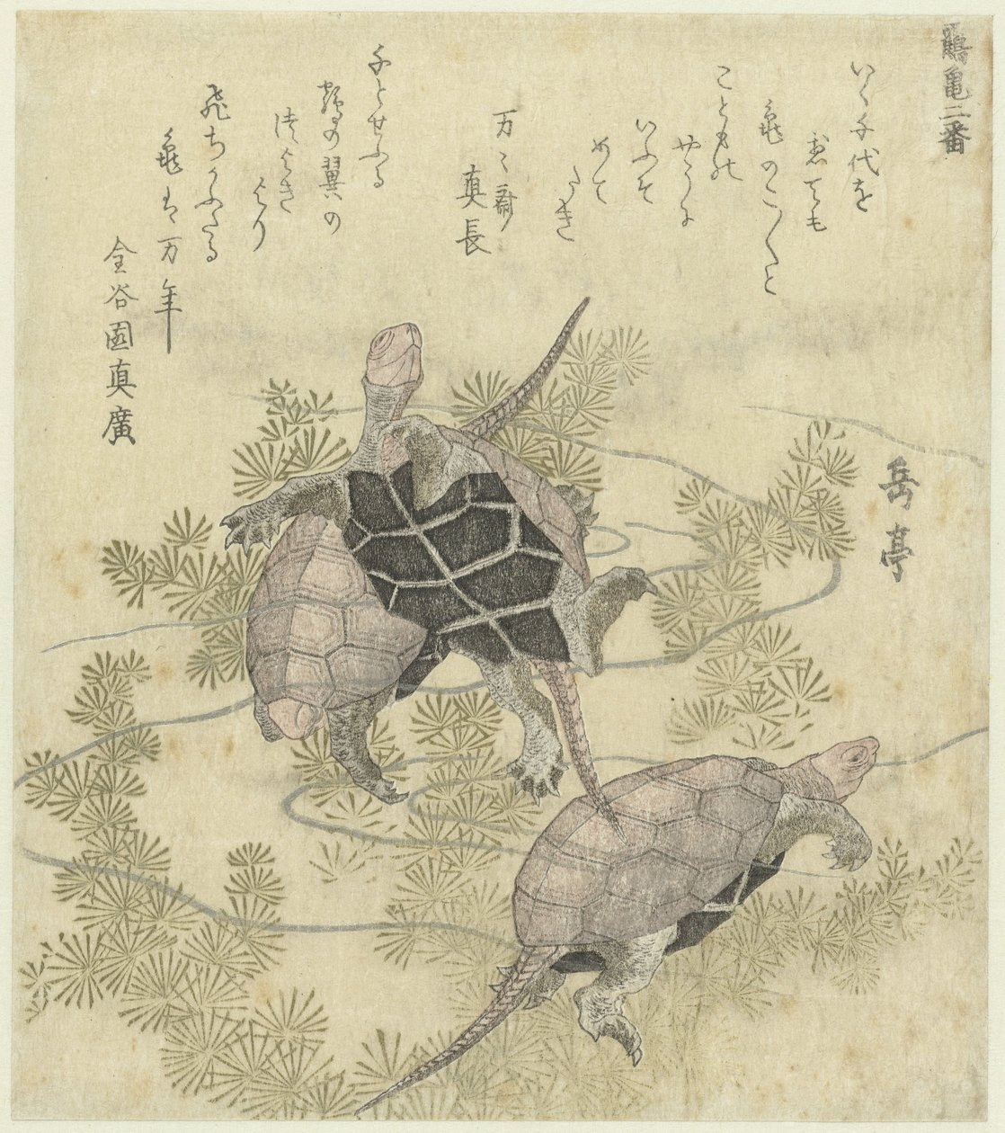 Trois tortues entre des plantes aquatiques - Yashima Gakutei