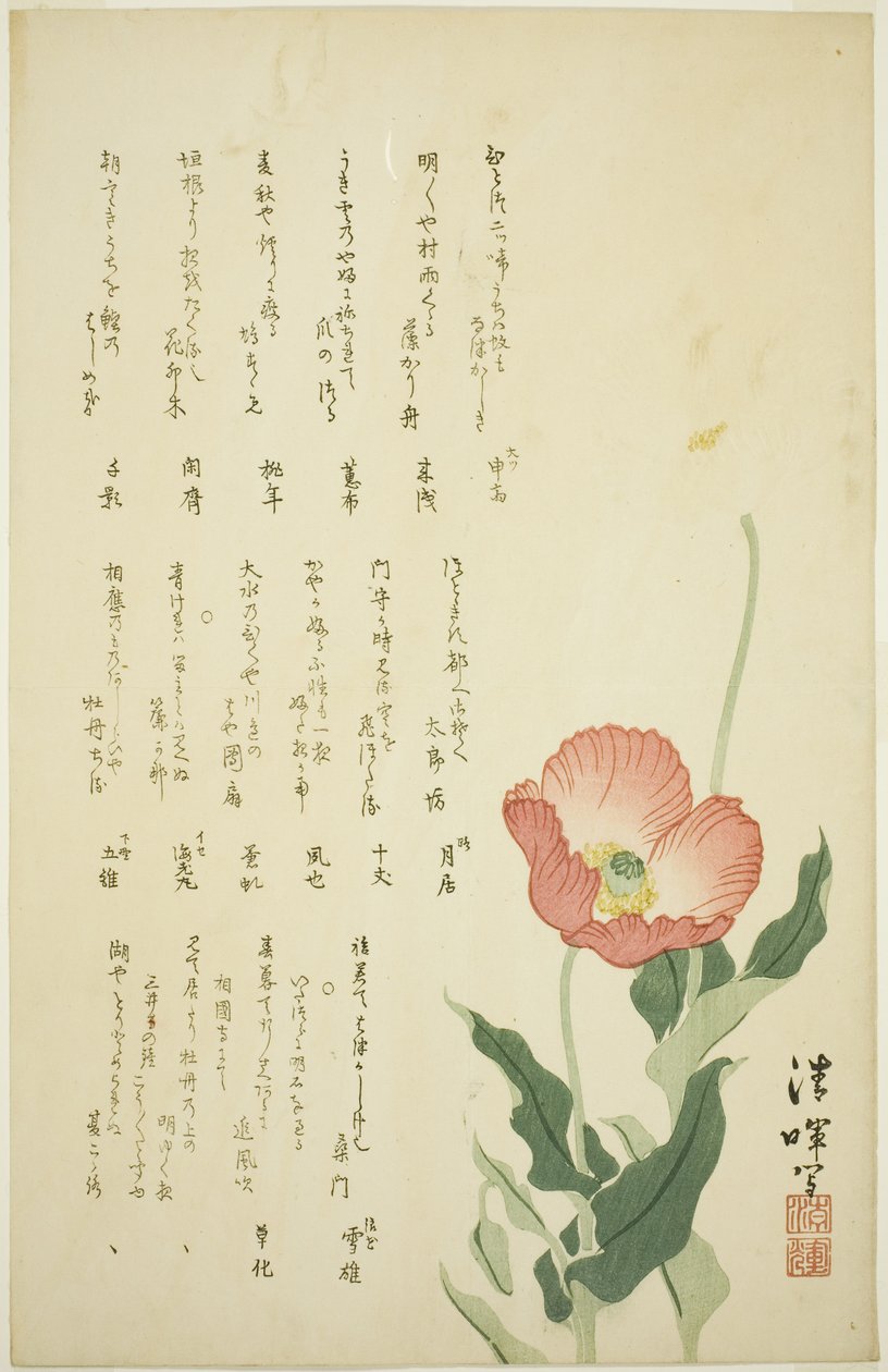 Deux Coquelicots - Yokoyama Seiki