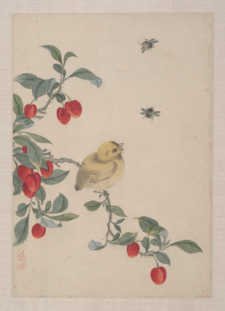 Oiseaux, insectes et fleurs - Zhai Yi