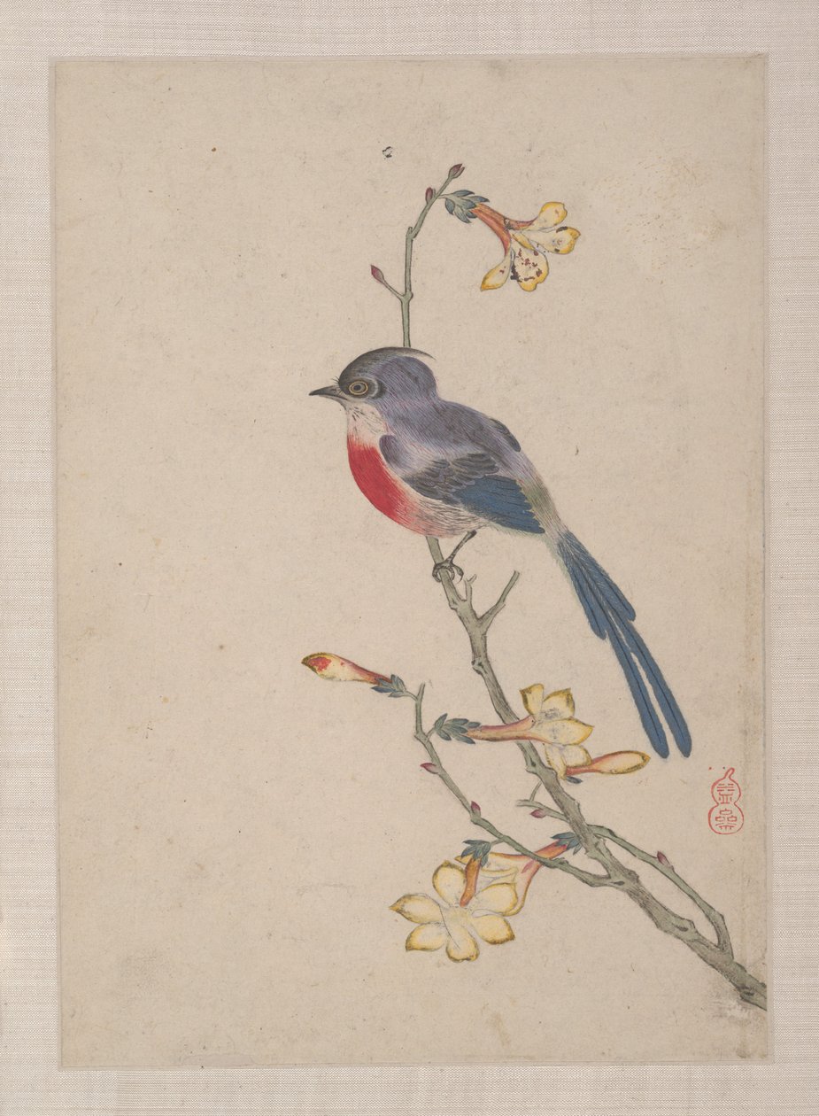 Oiseaux, insectes et fleurs - Zhai Yi
