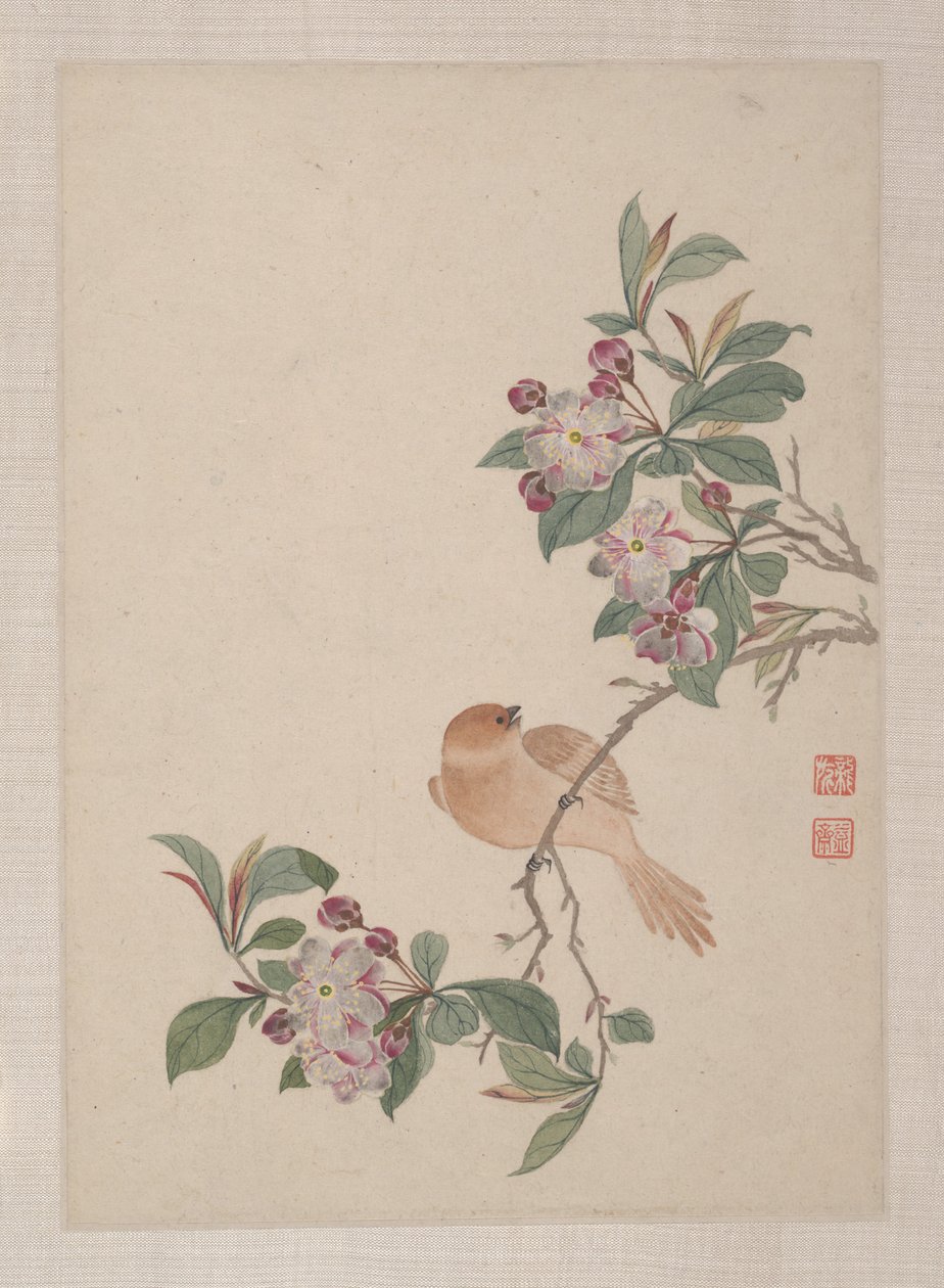Oiseaux, insectes et fleurs - Zhai Yi