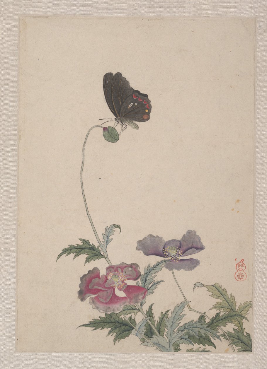 Oiseaux, insectes et fleurs - Zhai Yi