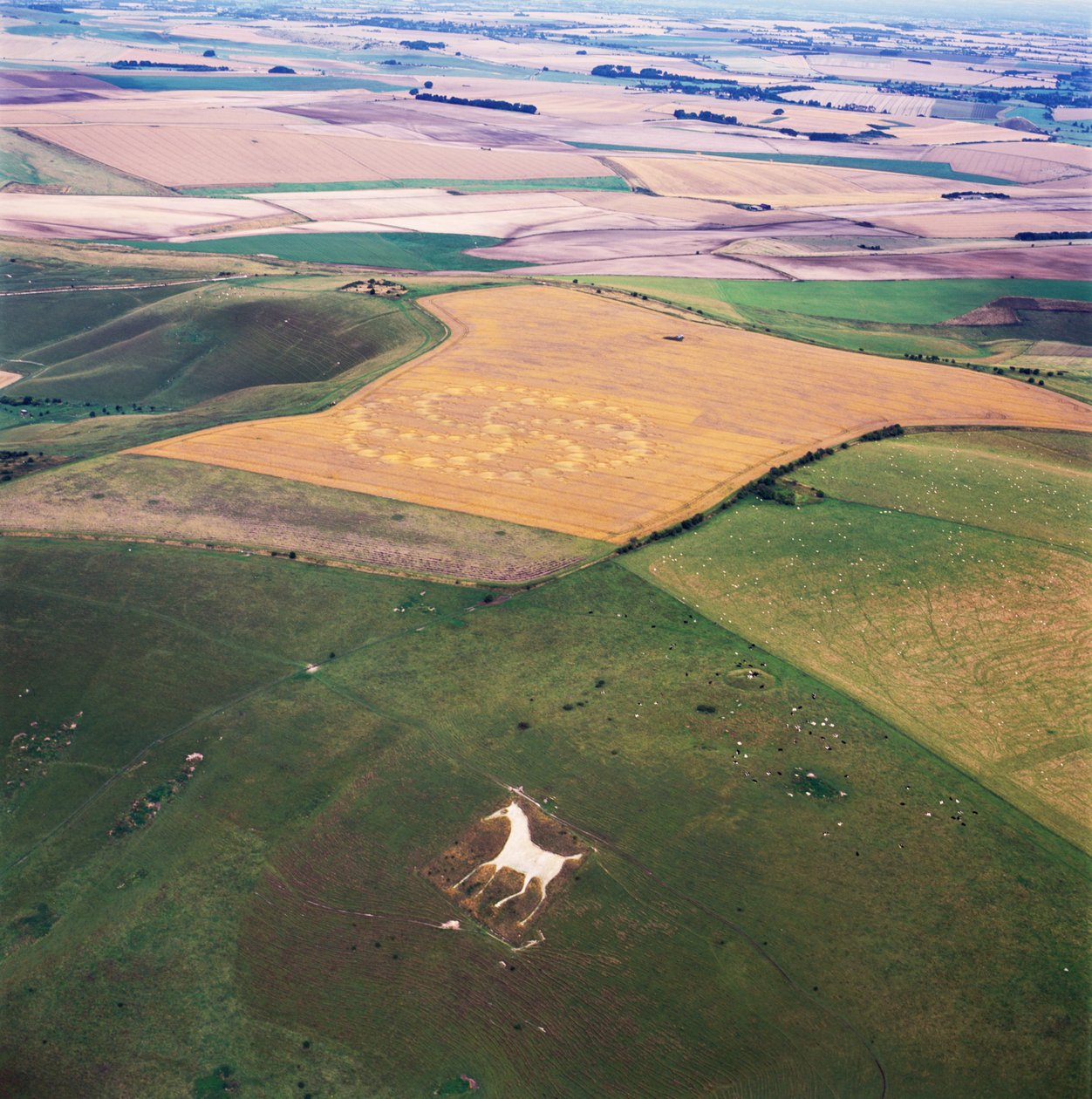 Cercle de culture dans un champ de blé, Milk Hill, Alton Priors, Vale of Pewsey, Wiltshire - Ferdinand Georg Waldmuller