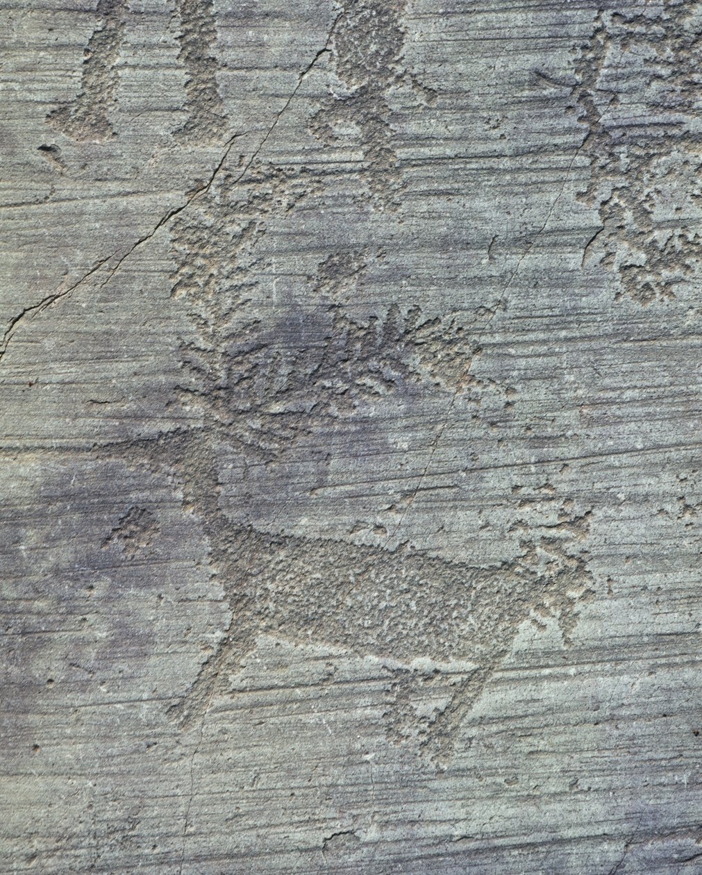 Vallée de Camonica, pétroglyphes sur roche - Isabel Redie