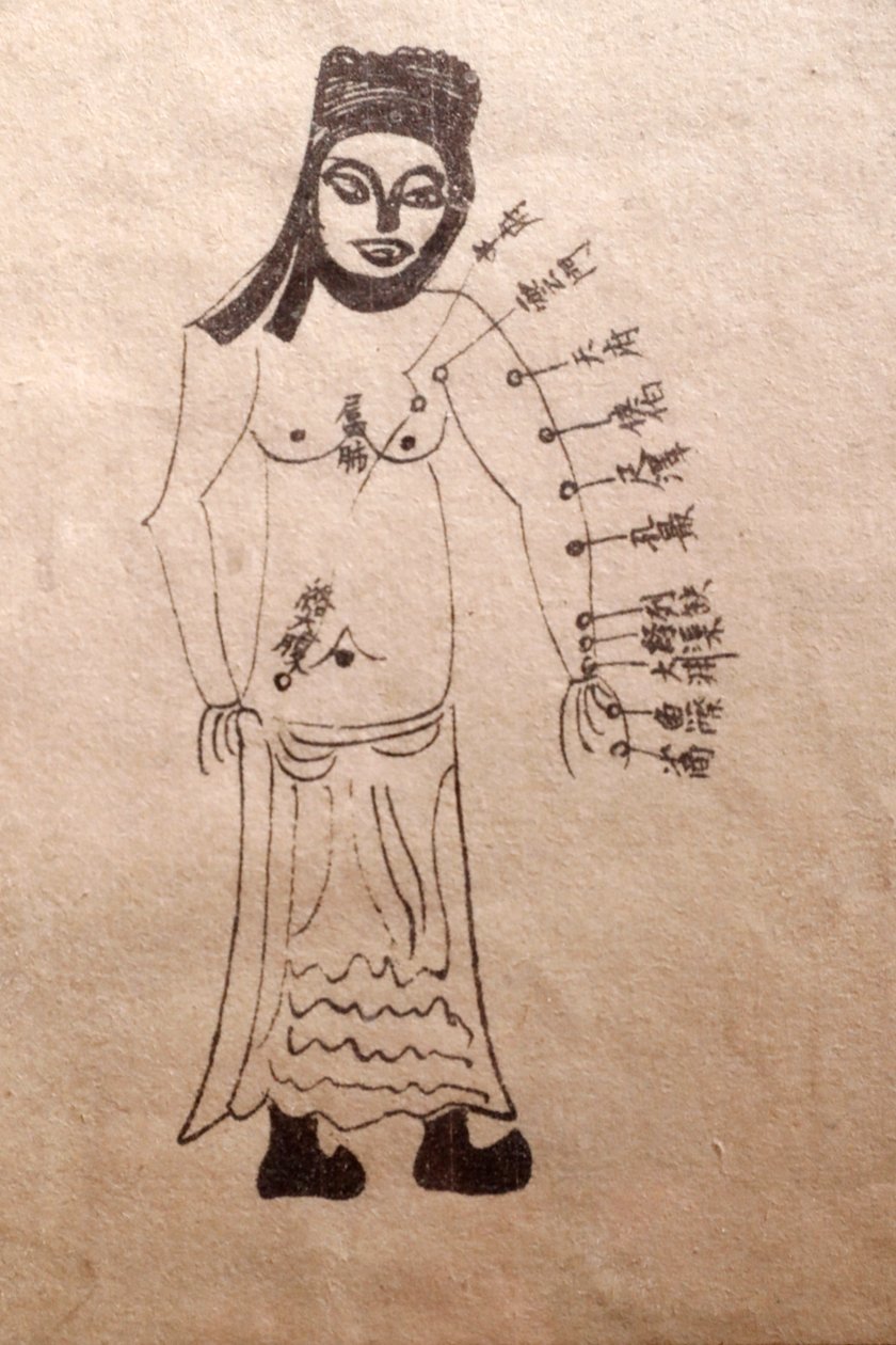 Musée de la Médecine Traditionnelle Vietnamienne, Les canaux et vaisseaux, Livre d