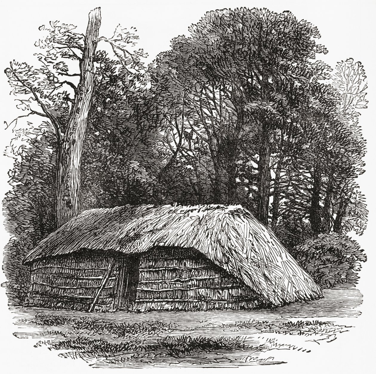 La cabane où Sir David Livingstone est mort le 1er mai 1873 - . .
