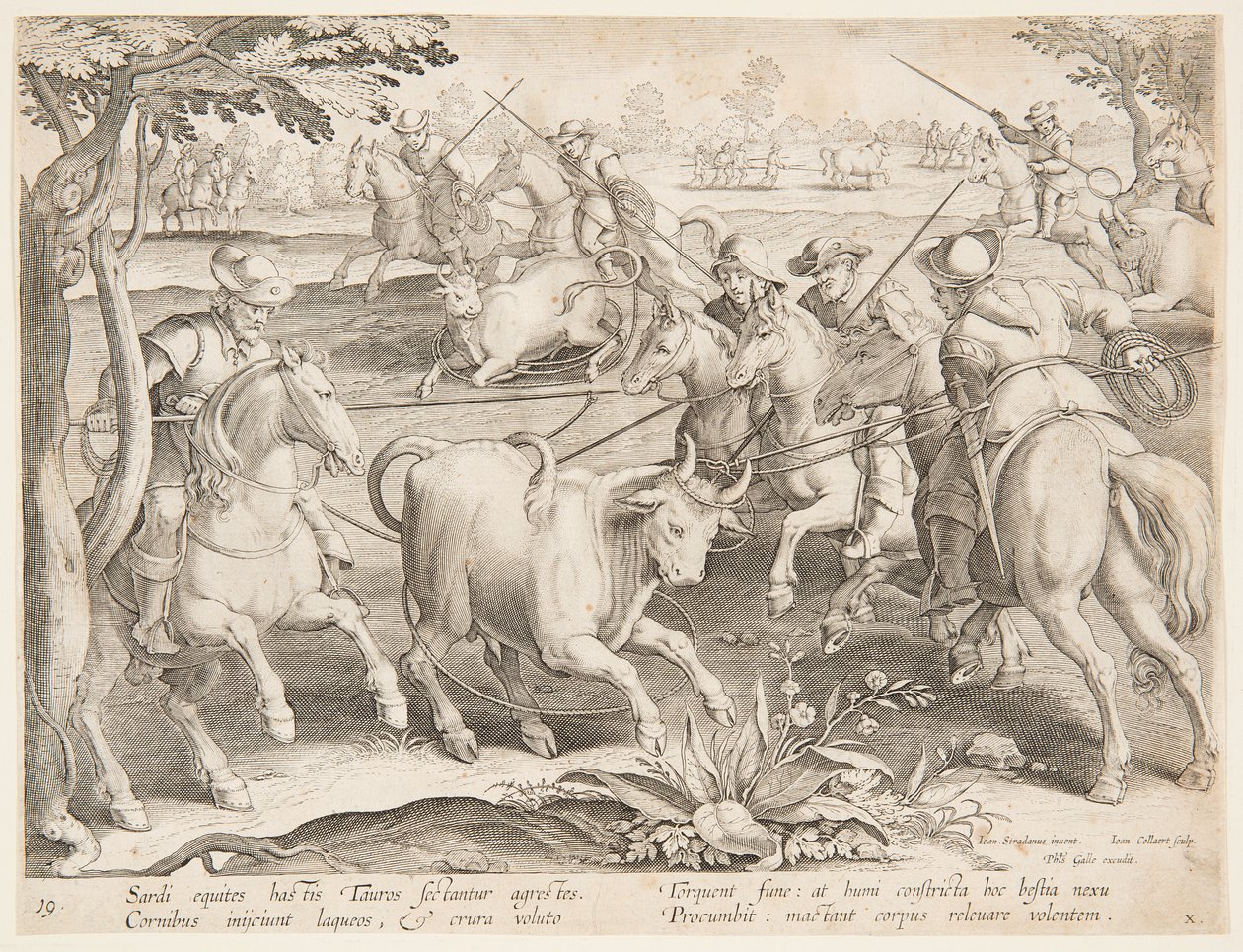 Capture de taureaux sauvages - after Jan van der Straet, called Stradanus