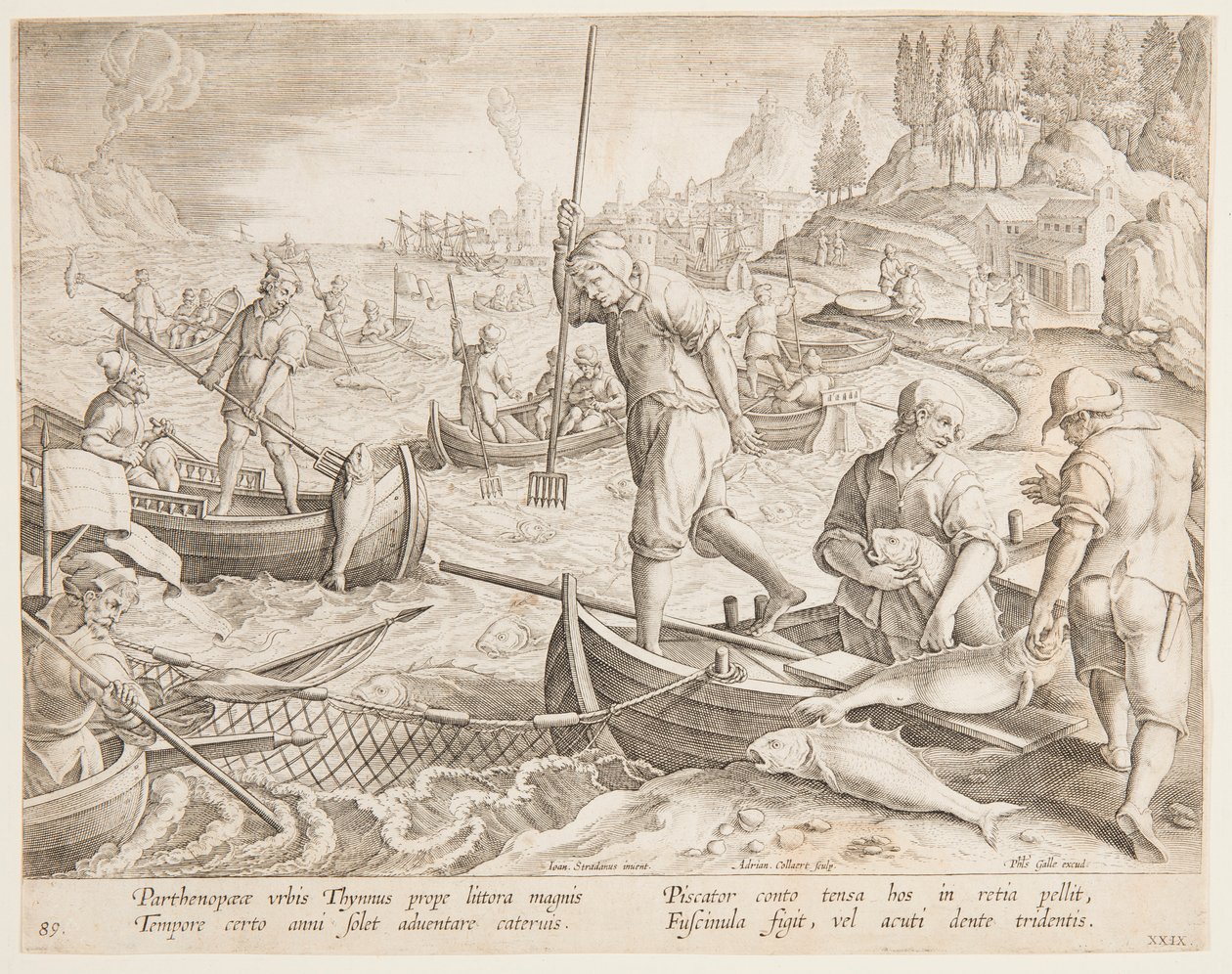 Pêche au thon - after Jan van der Straet, called Stradanus