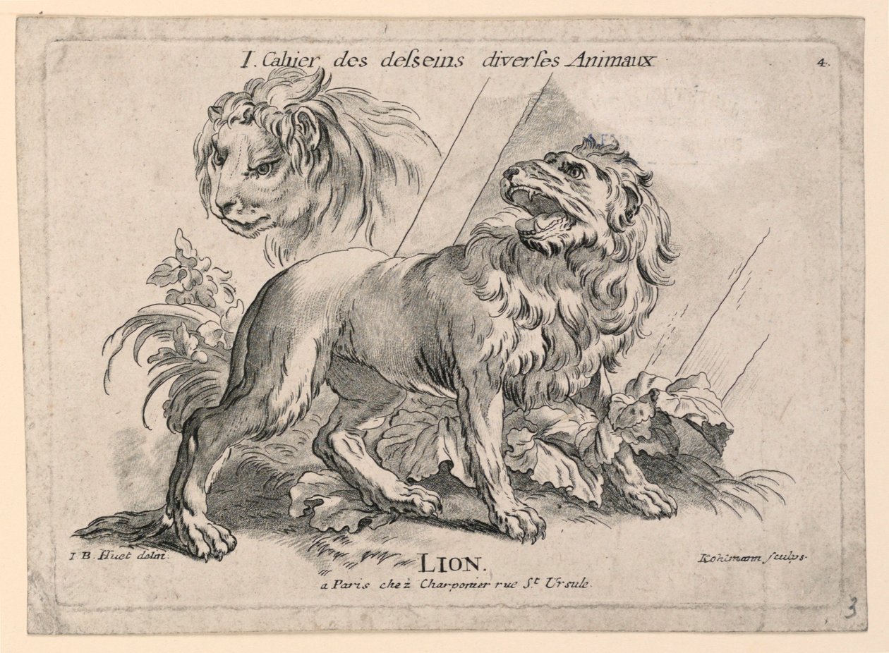 Études de Lions, Planche 4 de "Cahier des Desseins Diverses Animaux" - after Jean Baptiste Huet