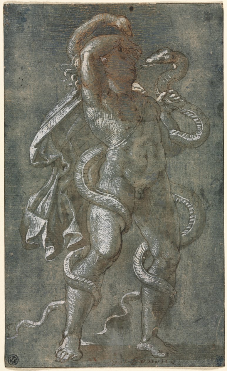 Homme enlacé par deux serpents - attributed to Giovanni Antonio da Pordenone