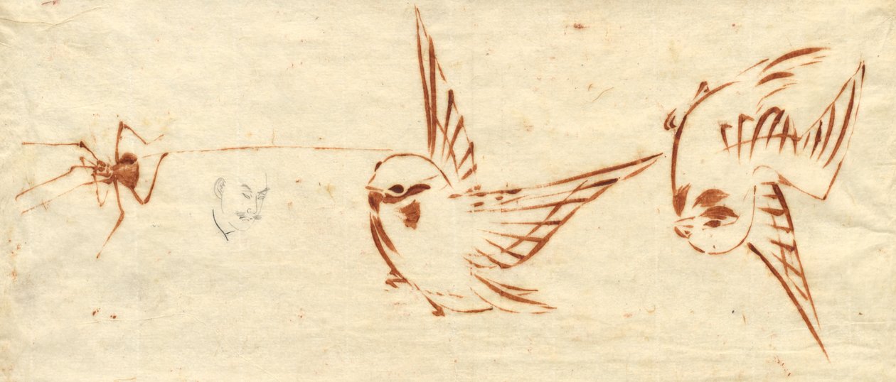 Page de croquis avec oiseaux et araignée - attributed to Katsushika Hokusai