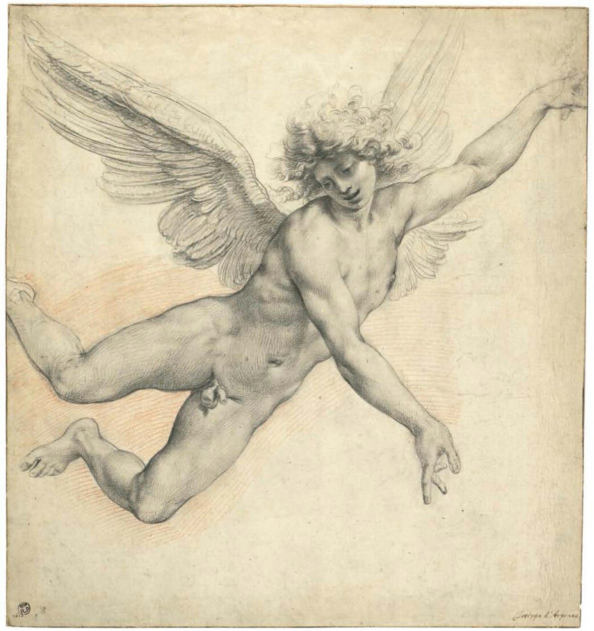 Un ange en vol - called Cavaliere d