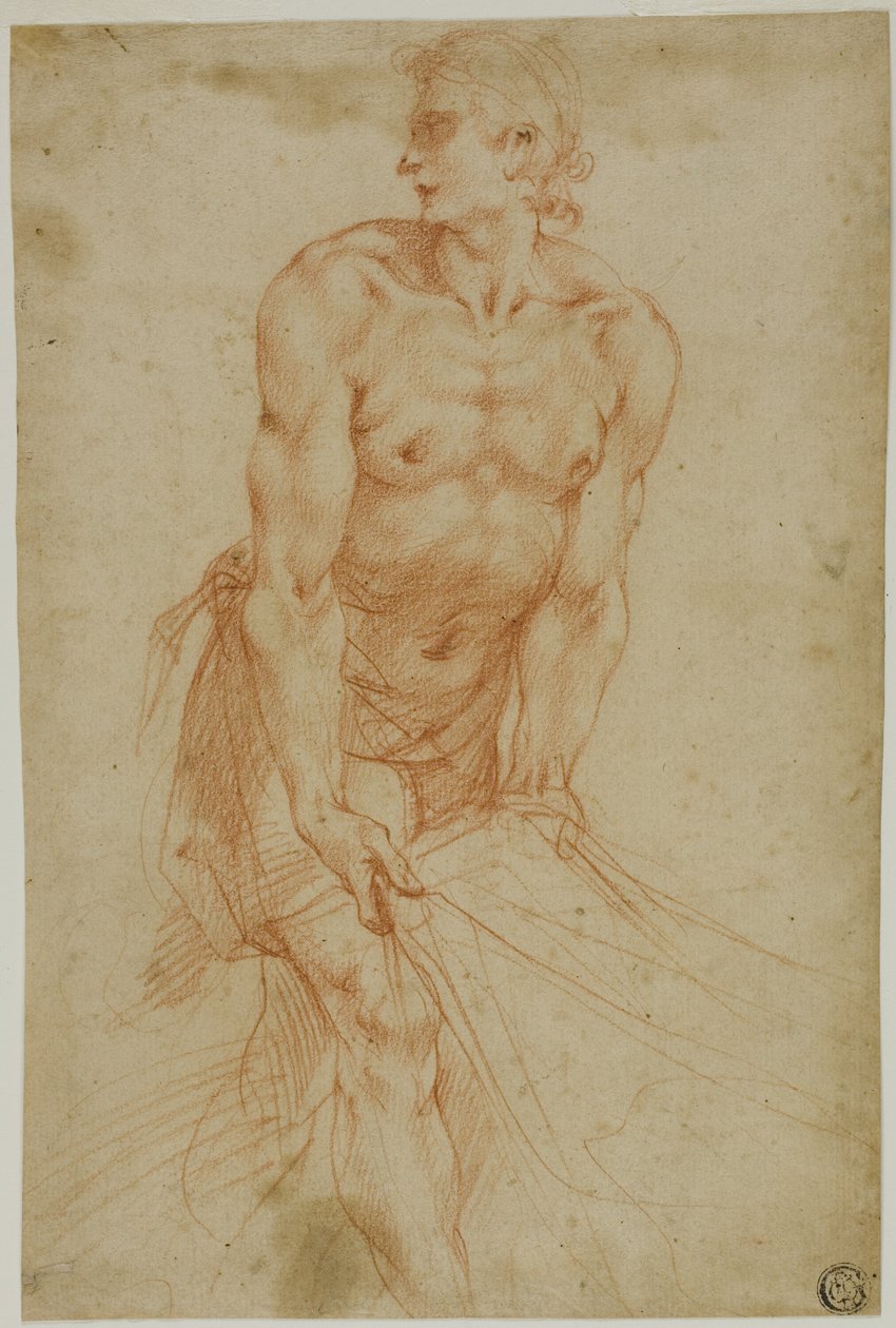 Homme tirant sur un drap : Étude pour la mise au tombeau [Sacristie de la Chartreuse de Saint Martin, Naples, 1596]. - called Cavaliere d