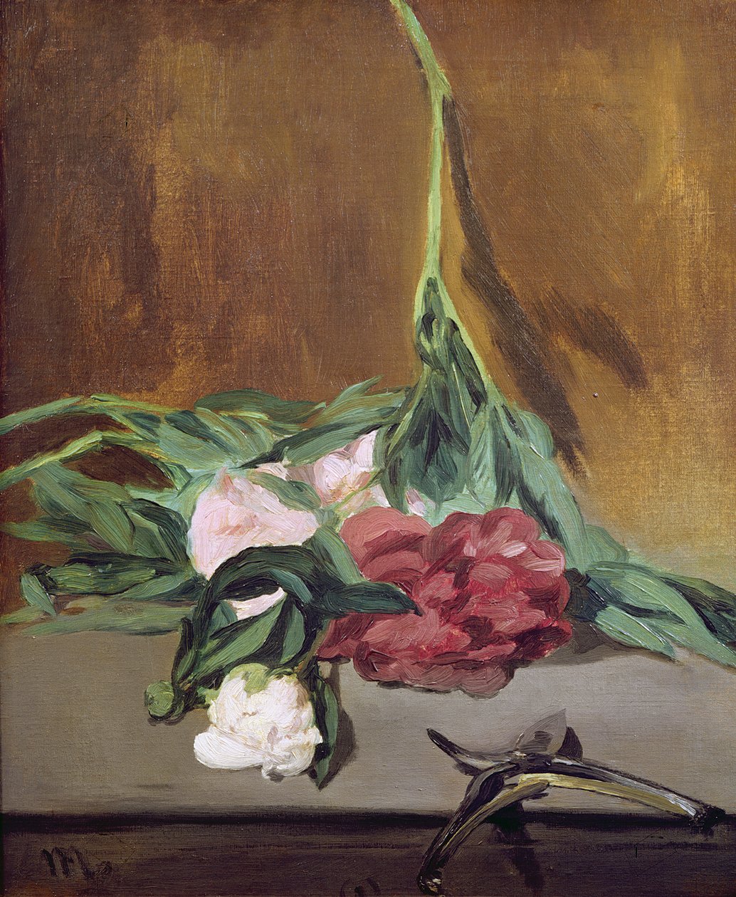 Tige de pivoines et sécateurs, vers 1864 - Édouard Manet