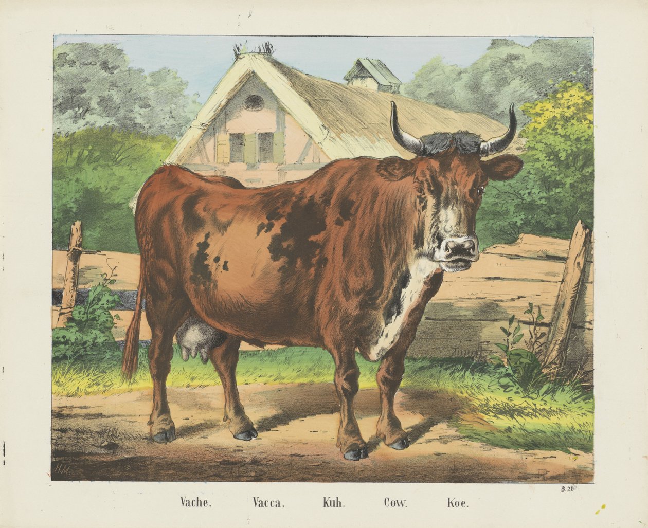 Vache - firma Joseph Scholz
