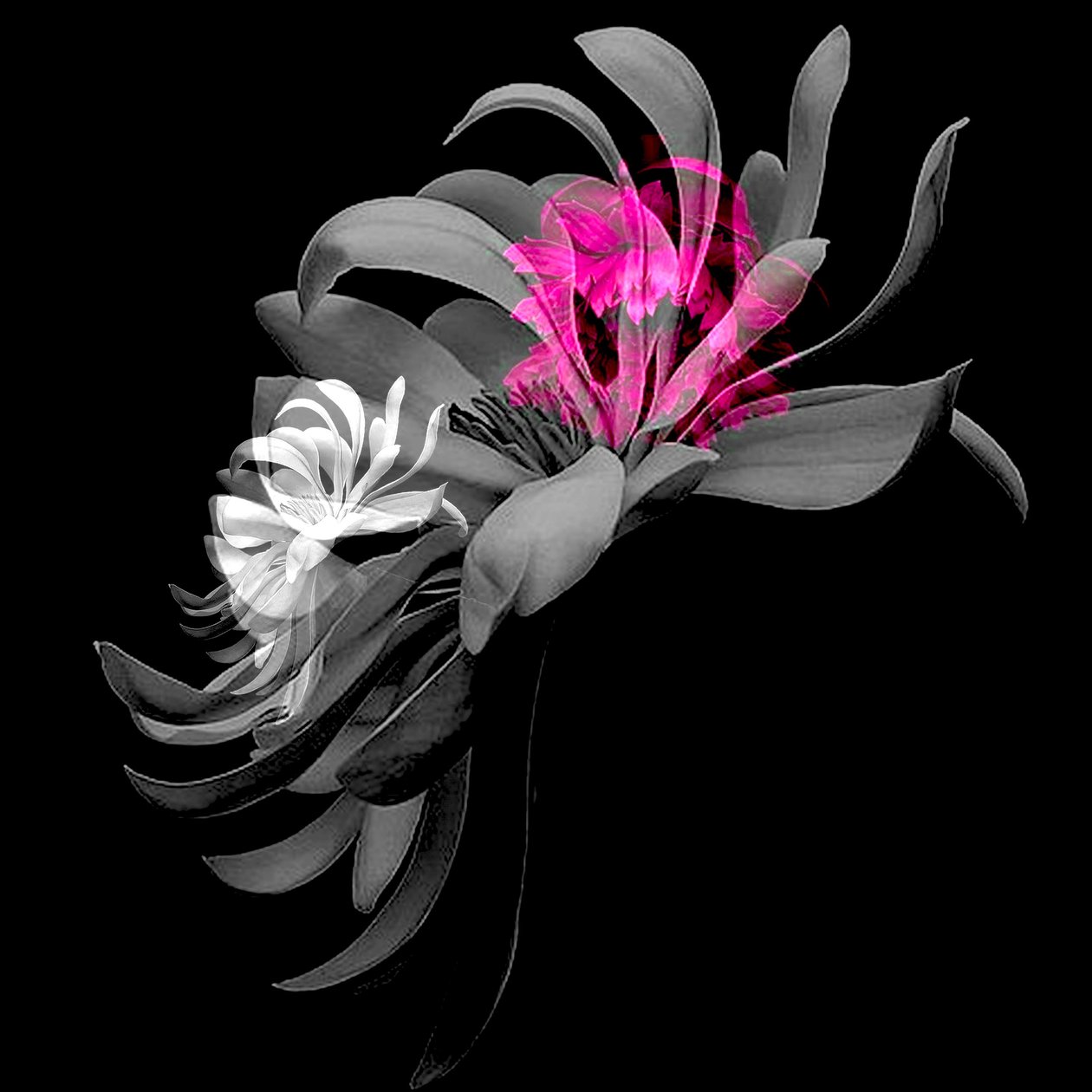 COLLAGE DE FLEURS DE PRINTEMPS, 2018 (techniques mixtes) - linda arthurs