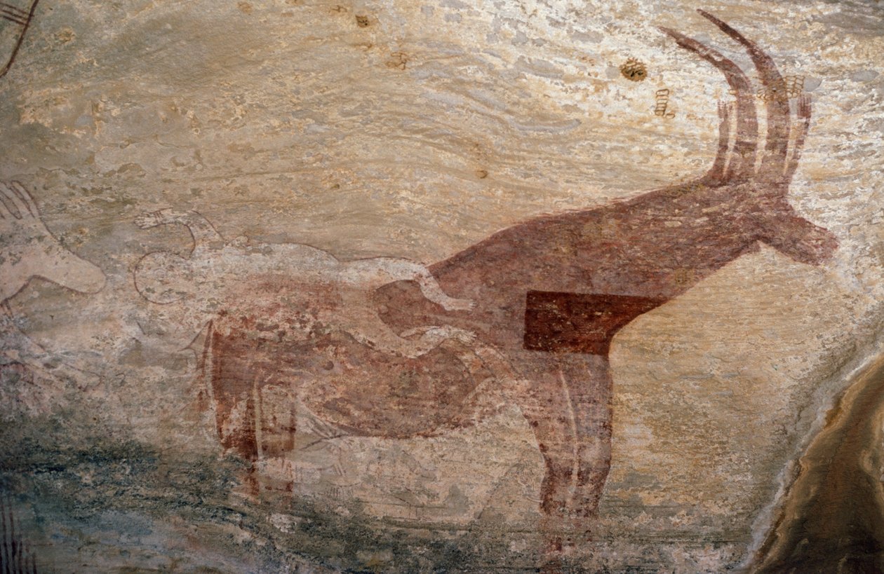 Animal à sabots, peinture rupestre, Sephar, Tassili n