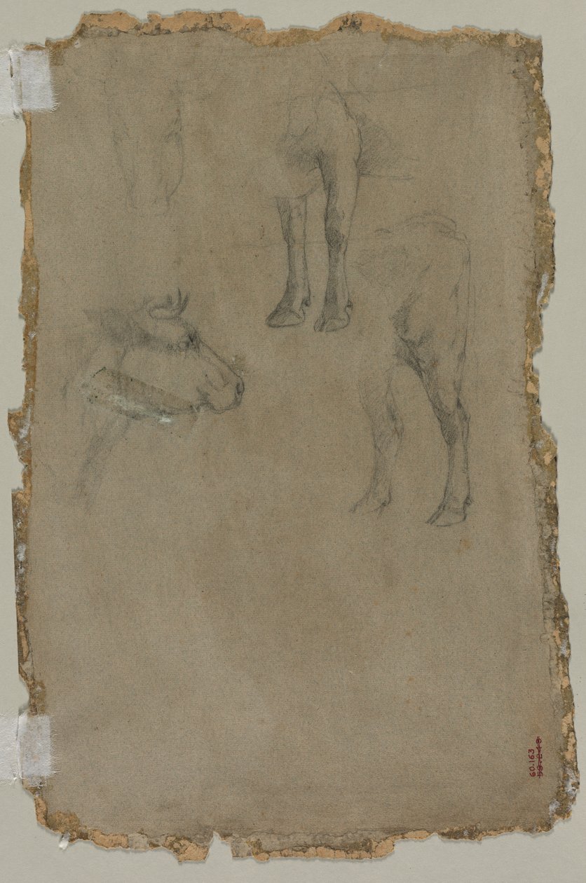 Études d