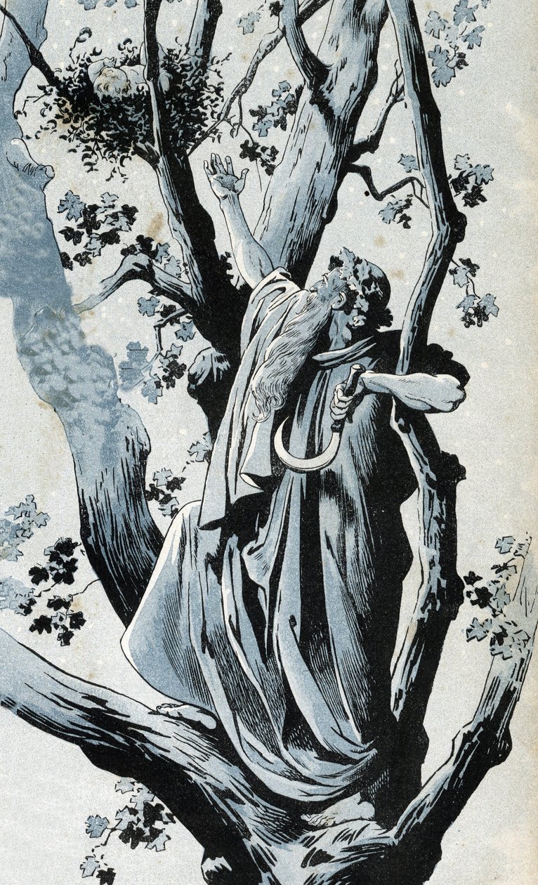 Un druide gaulois, grimpant dans un chêne pour cueillir du gui avec sa serpe, découvre une petite fille. dans « La France, son histoire racontée par G. Montorgueil, illustrée par Job » 1896. Collection privée. - pseudonym for Onfray de Breville Jacques Job