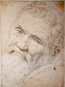 Portrait de Michel-Ange Buonarroti - Daniele da  Volterra
