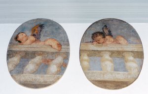 Deux putti ailés grimpant sur une balustrade, médaillons de la sacristie (fresque) - Veronese