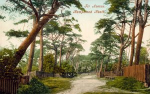 Avenue des Sapins, Hampstead Heath