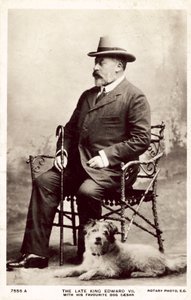 Feu le roi Édouard VII, avec son chien préféré Caesar