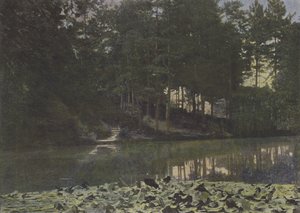 Bois de Boulogne, Le Réservoir - (after) French Photographer