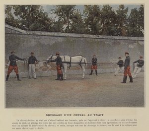 Dressage d