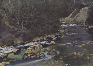 Gorges de la Cère près de Laval de Cère - (after) French Photographer