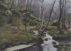 Vaux de Cernay, Les Cascades - (after) French Photographer
