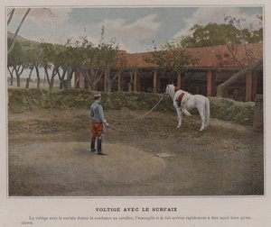 Voltige avec le Surfaix