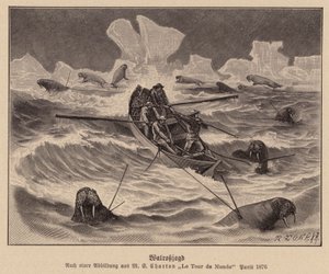Chasse au morse (gravure) - (after) French School