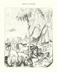 Jamrach arrive (gravure) - (after) German School