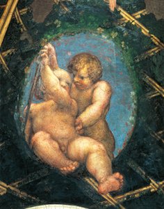 Ovate avec chérubins (détail de décoration de la Chambre de Saint-Paul ou Chambre de l