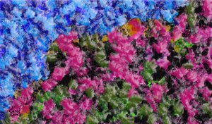 EFERVESCENCIA DE COLORES - Carol Sousa Cuello