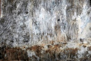 Paysage - Detlef B. Fischer