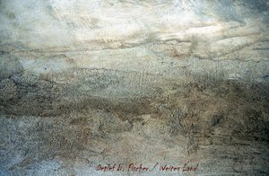 Vaste terre - Detlef B. Fischer