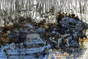 Walden - Detlef B. Fischer