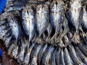Poissons séchés - Detlef B. Fischer