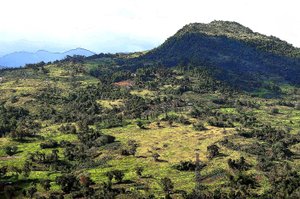 Collines de Cebu - Detlef B. Fischer