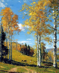Paysage avec une forêt de bouleaux et un feuillage vibrant