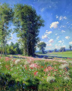 Belle vue par une journée ensoleillée, nature et arbres, décoration murale à vendre - F. Abderrahim