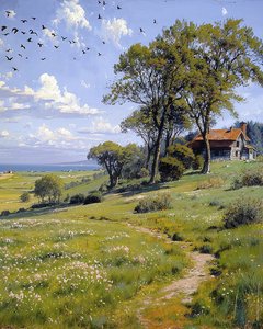 Paysage par une journée de printemps ensoleillée, décoration murale et impressions sur toile - F. Abderrahim